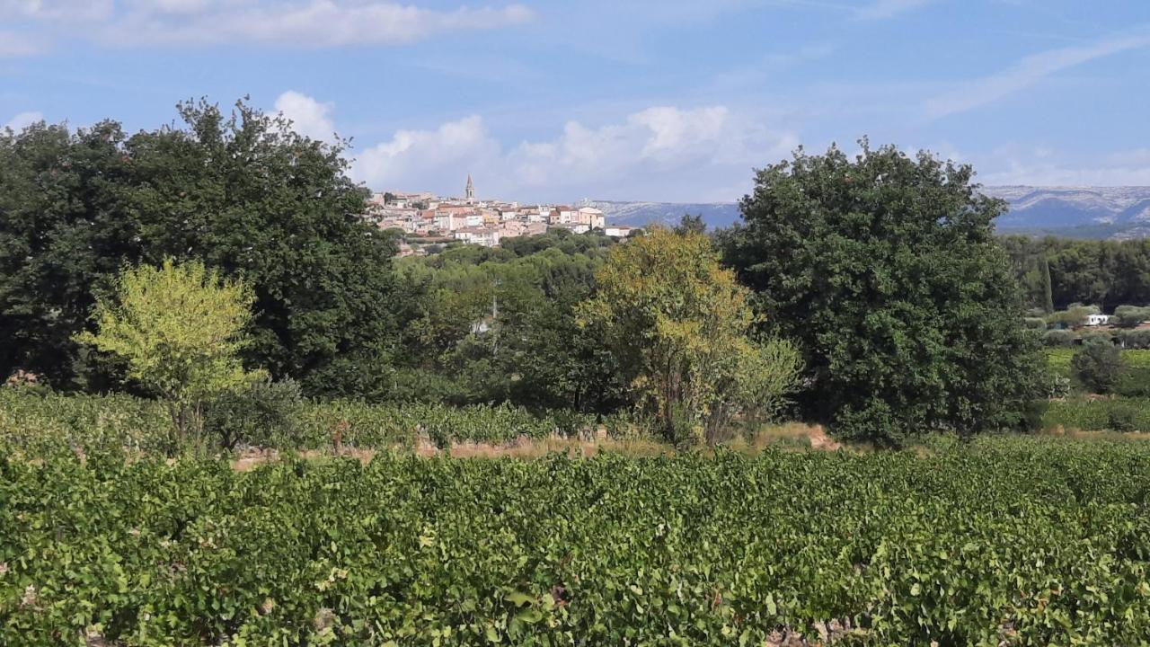 La Tonnelle D'Olivier Daire La Cadiere-d'Azur Dış mekan fotoğraf